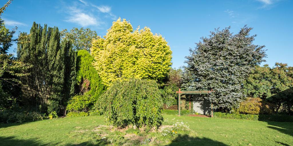 Mount Thomas Road B&B Rangiora Ngoại thất bức ảnh